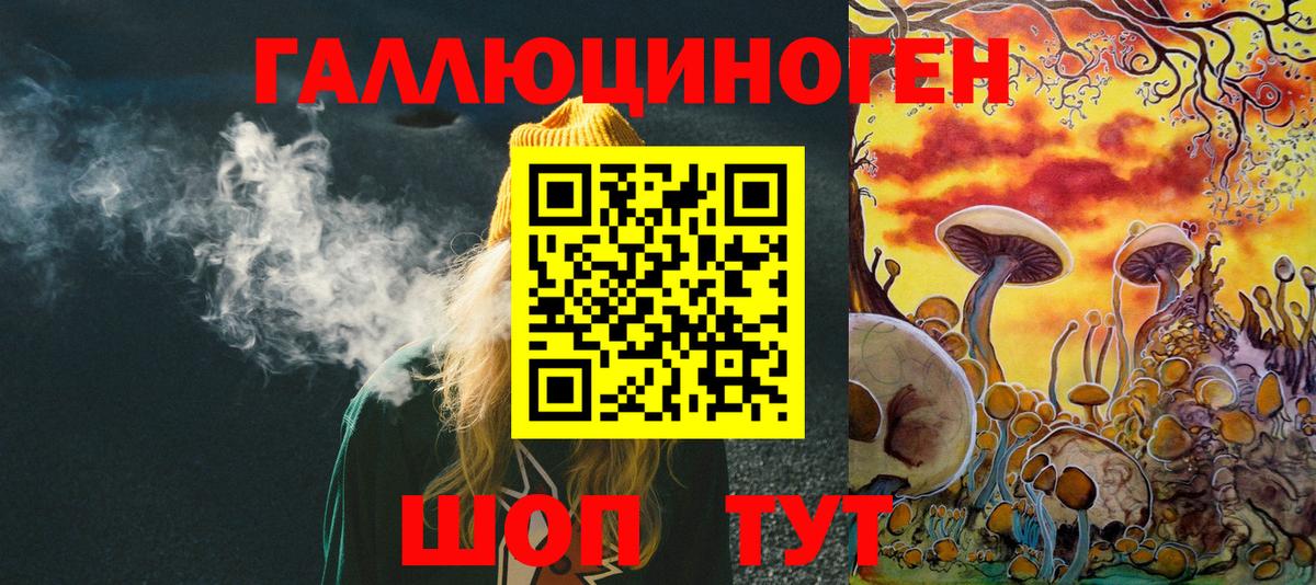 Псилоцибиновые грибы Psilocybine cubensis Мариинск