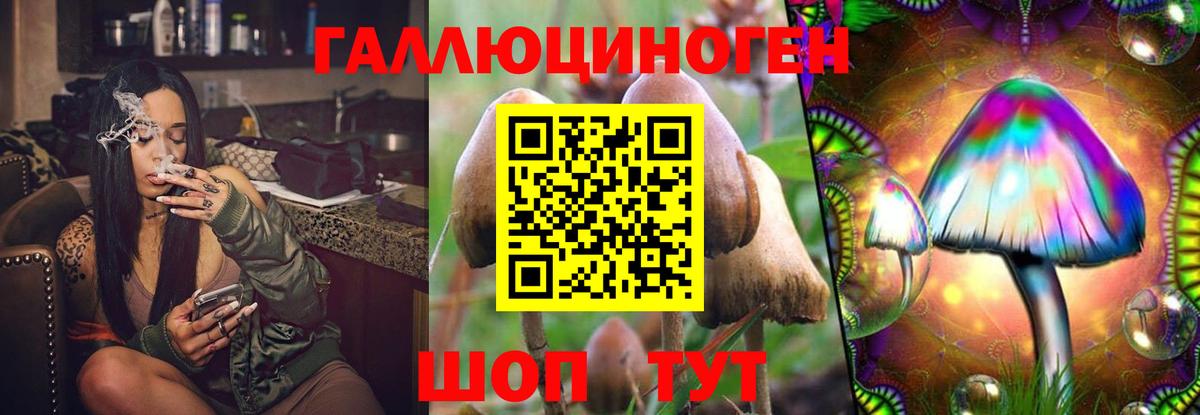 Мариинск  Галлюциногенные грибы MAGIC MUSHROOMS  Вход с VPN  Псилоцибиновые грибы Cubensis 